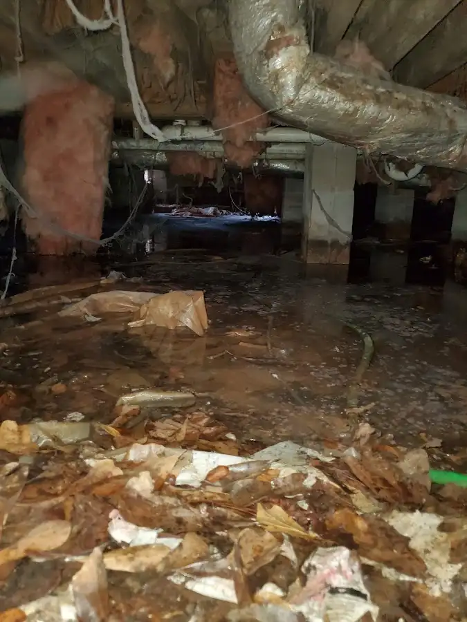 Crawl space flood assessment for Commercial Water Damage Restoration in Kaneohe Base